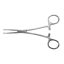 Kleszczyki CRILE 14.0cm, 1x2 zęby